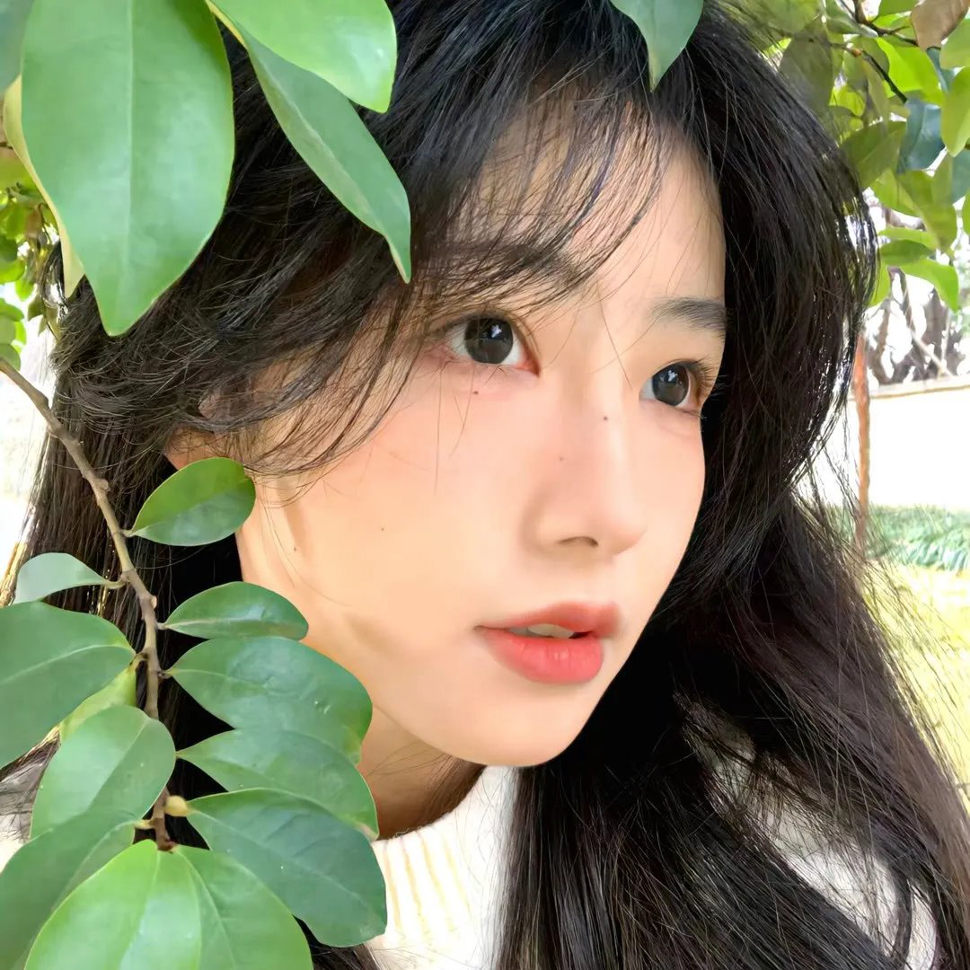 晚秋